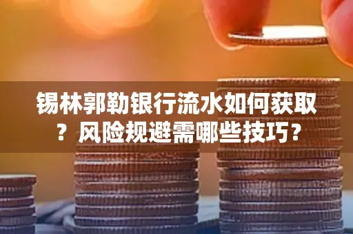 锡林郭勒银行流水如何获取?风险规避需哪些技巧?