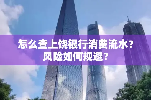 怎么查上饶银行消费流水?风险如何规避?