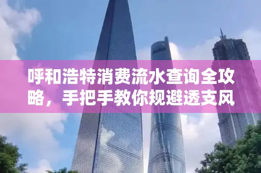 呼和浩特消费流水查询全攻略,手把手教你规避透支风险