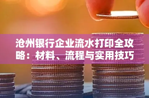沧州银行企业流水打印全攻略:材料、流程与实用技巧