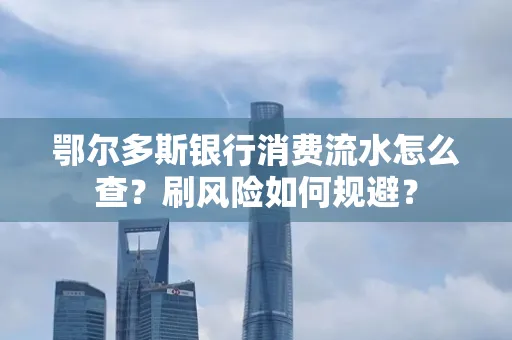 鄂尔多斯银行消费流水怎么查?刷风险如何规避?