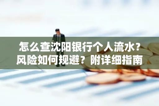 怎么查沈阳银行个人流水?风险如何规避?附详细指南