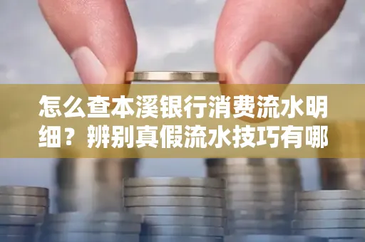 怎么查本溪银行消费流水明细?辨别真假流水技巧有哪些?