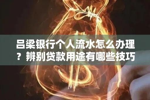 吕梁银行个人流水怎么办理?辨别贷款用途有哪些技巧?