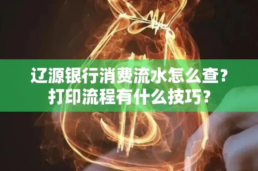 辽源银行消费流水怎么查?打印流程有什么技巧?