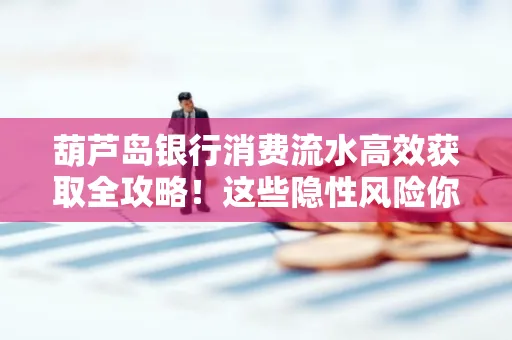 葫芦岛银行消费流水高效获取全攻略!这些隐性风险你必须知道