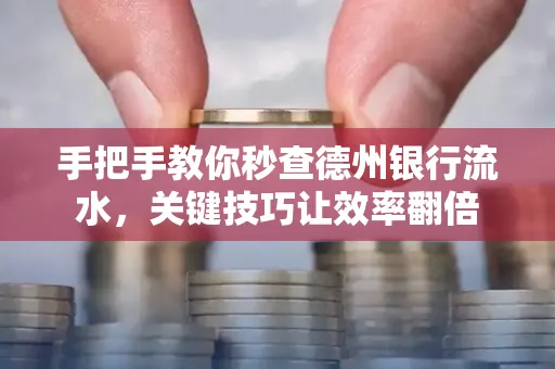 手把手教你秒查德州银行流水,关键技巧让效率翻倍