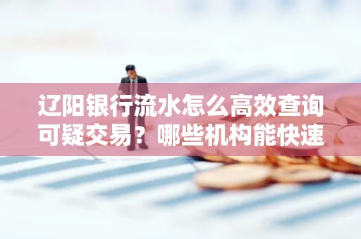 辽阳银行流水怎么高效查询可疑交易?哪些机构能快速分析账单风险?