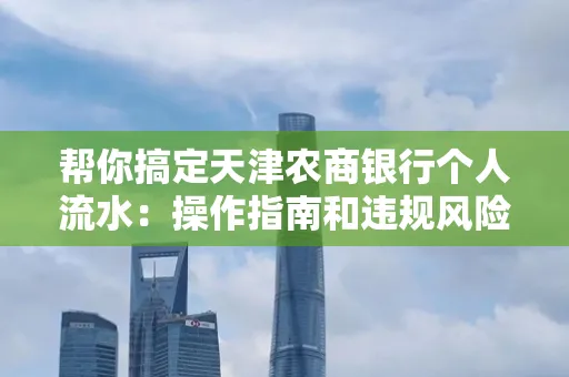 帮你搞定天津农商银行个人流水:操作指南和违规风险避坑攻略