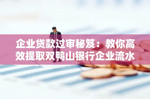 企业贷款过审秘笈:教你高效提取双鸭山银行企业流水