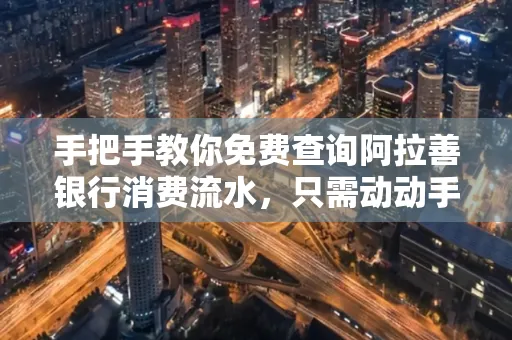 手把手教你免费查询阿拉善银行消费流水,只需动动手指就能完成