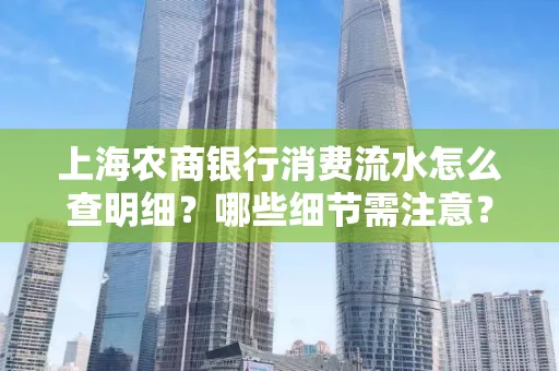 上海农商银行消费流水怎么查明细?哪些细节需注意?