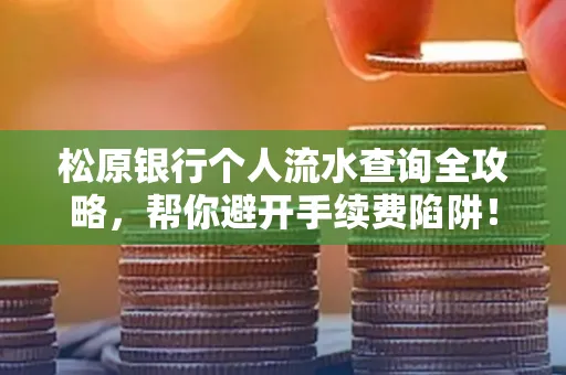 松原银行个人流水查询全攻略,帮你避开手续费陷阱!