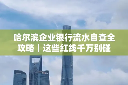 哈尔滨企业银行流水自查全攻略|这些红线千万别碰