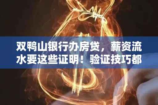 双鸭山银行办房贷,薪资流水要这些证明!验证技巧都在这里!