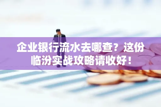 企业银行流水去哪查?这份临汾实战攻略请收好!