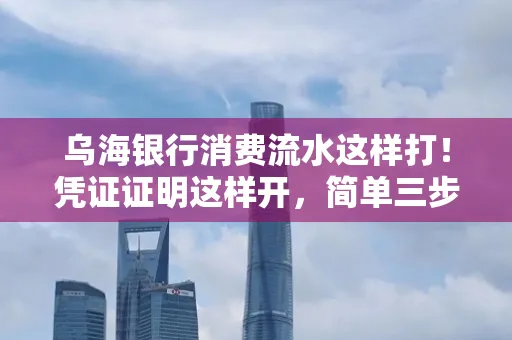 乌海银行消费流水这样打！凭证证明这样开，简单三步轻松搞定