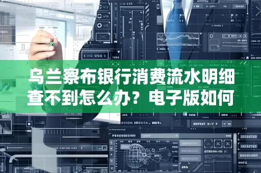 乌兰察布银行消费流水明细查不到怎么办?电子版如何获取攻克技巧?