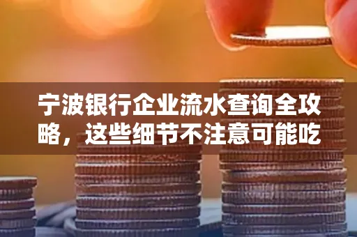 宁波银行企业流水查询全攻略,这些细节不注意可能吃大亏
