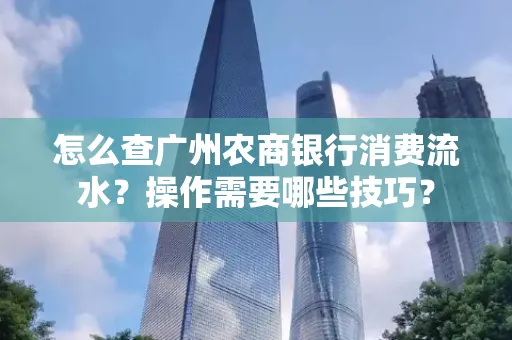 怎么查广州农商银行消费流水?操作需要哪些技巧?