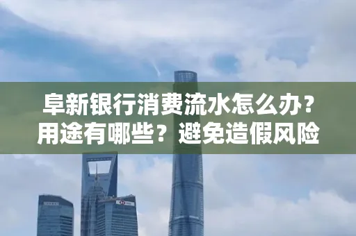 阜新银行消费流水怎么办？用途有哪些？避免造假风险方法
