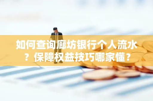 如何查询廊坊银行个人流水？保障权益技巧哪家懂？
