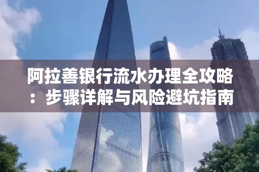 阿拉善银行流水办理全攻略：步骤详解与风险避坑指南