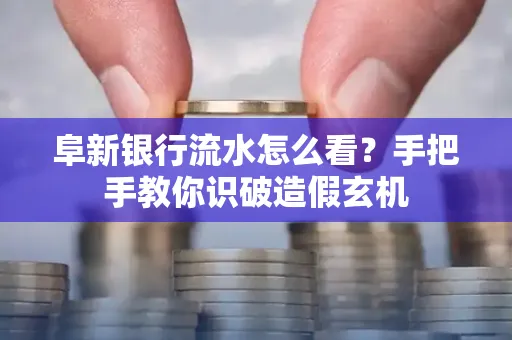阜新银行流水怎么看？手把手教你识破造假玄机
