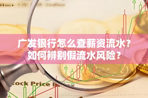 广发银行怎么查薪资流水?如何辨别假流水风险?