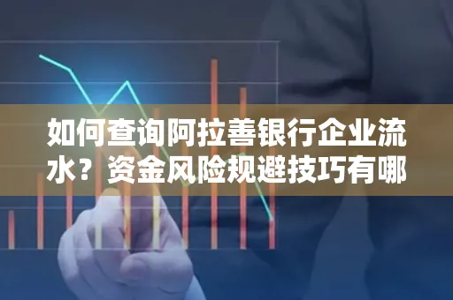 如何查询阿拉善银行企业流水？资金风险规避技巧有哪些？
