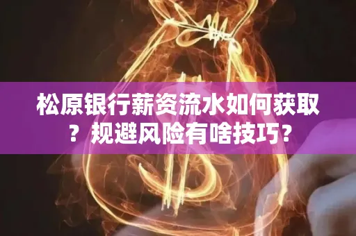 松原银行薪资流水如何获取?规避风险有啥技巧?
