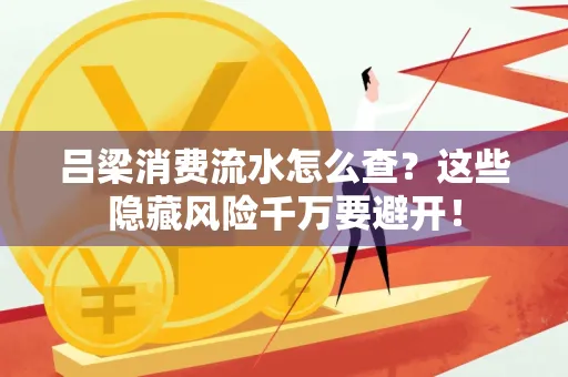 吕梁消费流水怎么查?这些隐藏风险千万要避开!