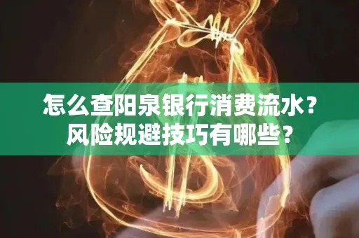 怎么查阳泉银行消费流水?风险规避技巧有哪些?