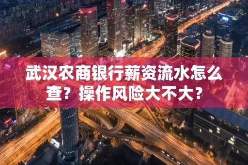 武汉农商银行薪资流水怎么查?操作风险大不大?