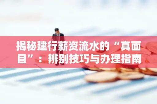 揭秘建行薪资流水的“真面目”:辨别技巧与办理指南大公开