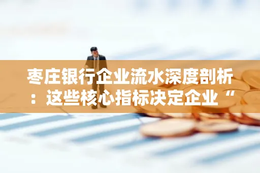 枣庄银行企业流水深度剖析:这些核心指标决定企业“钱袋子”健康度