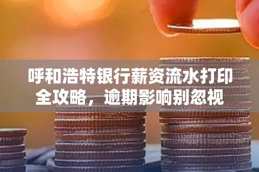 呼和浩特银行薪资流水打印全攻略,逾期影响别忽视