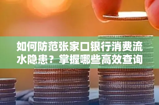 如何防范张家口银行消费流水隐患?掌握哪些高效查询技巧?