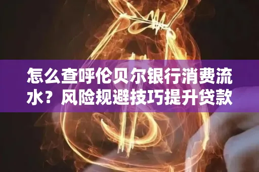 怎么查呼伦贝尔银行消费流水?风险规避技巧提升贷款率?