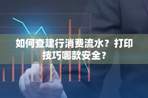 如何查建行消费流水?打印技巧哪款安全?
